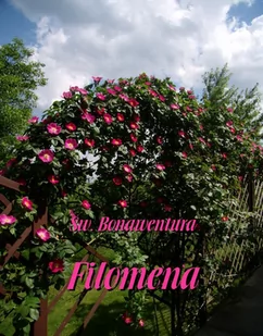 Filomena - E-booki - religia - miniaturka - grafika 1