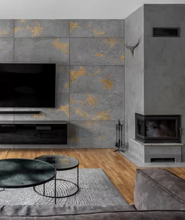 30x60 cm DS - (ciemny popiel, złote kruszywo) - płyta beton architektoniczny ultralekka - Elewacje - miniaturka - grafika 1
