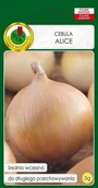 Nasiona i cebule - Cebula Alice 3 g PNOS - miniaturka - grafika 1