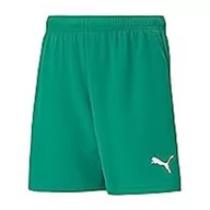 Spodenki damskie - PUMA Spodenki Teamrise - Szorty - Sportowe - Mieszane Dzieci - miniaturka - grafika 1