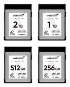 Karty pamięci - Exascend Element Pro 256 GB CFexpress typ B 3D TLC NAND EXPC4SB256GB - miniaturka - grafika 1