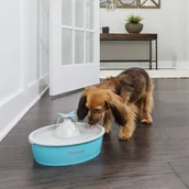 Karmniki dla ptaków - Poidło dla zwierząt Drinkwell z motylem, 1,5 L Lumarko! - miniaturka - grafika 1