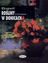 Rośliny w donicach - Poradniki hobbystyczne - miniaturka - grafika 1