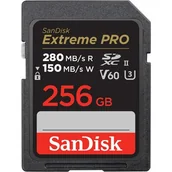 Karty pamięci - Karta pamięci SANDISK Extreme PRO SDXC 256GB SDSDXEP-256G-GN4IN - miniaturka - grafika 1