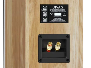 Indiana Line Diva 5 (biały-dąb) - Głośniki i kolumny - miniaturka - grafika 5