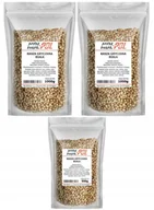 Kasza - KASZA GRYCZANA NIEPALONA 2,5kg Biała naturalna gryka wysoka jakość Kol-Pol - miniaturka - grafika 1