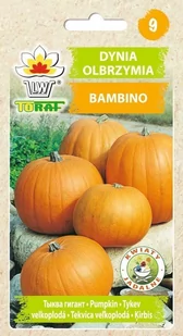 Toraf Dynia olbrzymia Bambino nasiona warzyw 5g 00083 - Nasiona i cebule - miniaturka - grafika 1