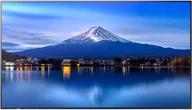 Monitory reklamowe i wyświetlacze - MODEL PN-P656, 65" P-Series Large Format Display, UHD, 700cd/m2, D-LED backlight, 24/7 proof, SDM Slot, CM-Slot - miniaturka - grafika 1