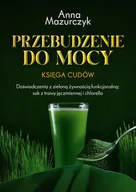 E-booki - poradniki - Przebudzenie do mocy - miniaturka - grafika 1