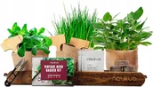 Nasiona i cebule - ZESTAW DO SAMODZIELNEJ UPRAWY ZIÓŁ (Szczypiorek, Oregano, Mięta i Szałwia) - miniaturka - grafika 1