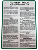 Akcesoria BHP - Instrukcja 23 Bhp Pierwsza Pomoc Nagłych Wypadkach - miniaturka - grafika 1