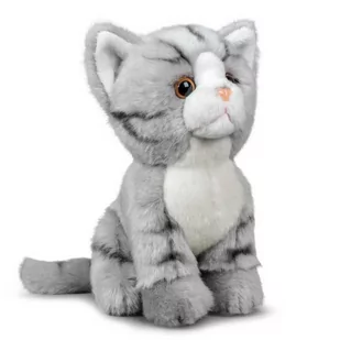 Animigos Animigos Pluszowa maskotka kot szary tabby, pluszak o realistycznym wzornictwie, przytulnie miękki, wielkość ok. 19 cm 37235 - Maskotki i pluszaki - miniaturka - grafika 1