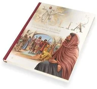Religia i religioznawstwo - Biblia. Ilustrowane historie ze Starego i Nowego Testamentu - miniaturka - grafika 1