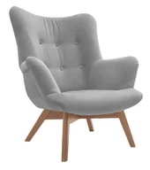 Inne meble do salonu - Fotel Safin Jaguar 2167 Szary / Grupa I - miniaturka - grafika 1