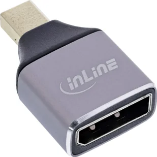 InLine® DisplayPort 1.4 Adapter, DisplayPort Buchse / Mini Displayport Stecker, - Złącza, przejściówki, adaptery - miniaturka - grafika 1