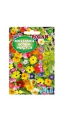 Nasiona i cebule - Mieszanka kwiatów pnąca 2 g POLAN - miniaturka - grafika 1