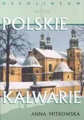 Książki o kulturze i sztuce - Polskie Kalwarie - miniaturka - grafika 1