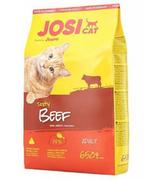 Sucha karma dla kotów - Josera Josicat Adult Tasty Beef 0,65 kg - miniaturka - grafika 1