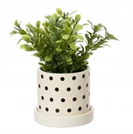 Sztuczne kwiaty - Roślina zielona w doniczce sztuczna dekoracyjna 16x8 cm - miniaturka - grafika 1