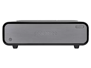 Peachtree Audio GaN400 - Wzmacniacze - miniaturka - grafika 1