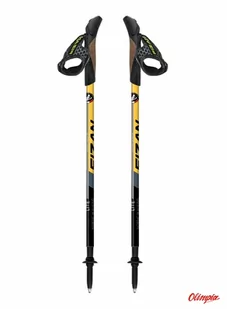 Kije Nordic Walking Fizan Lite Yellow - Kije trekkingowe - miniaturka - grafika 1