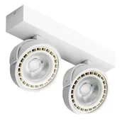 Systemy inteligentnych domów - Azzardo JERRY 2 230V SMART WIFI AZ3829 spot 2x22W/GU10/ES111 IP20 2700K-6500K AZZAZ3829 - miniaturka - grafika 1