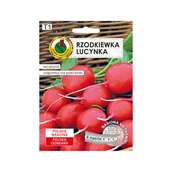 Nasiona i cebule - Rzodkiewka Lucynka nasiona na taśmie Pnos - miniaturka - grafika 1