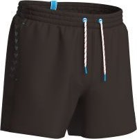 Arena Spodenki szorty męskie Arena Team Stripe rozmiar M