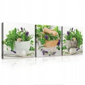 Obrazy i zdjęcia - Obraz Do Kuchni Płótno Zioła Przyprawy 3 Części Obrazki Tryptyk Kuchenny - miniaturka - grafika 1