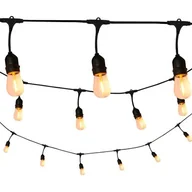 Lampy ogrodowe - Polux Girlanda ogrodowa 5,6 metra 10 żarówek przezroczysta SANICO 308191 - miniaturka - grafika 1