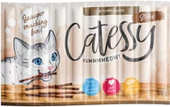 Mleko dla kociąt i szczeniąt - Zestaw Catessy Sticks, 50 x 5 g - BBQ z łososiem - miniaturka - grafika 1