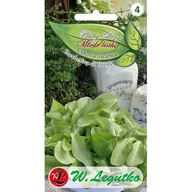 Nasiona i cebule - Cykoria liściowa Zuccherina di Trieste Baby Leaf W.Legutko - miniaturka - grafika 1