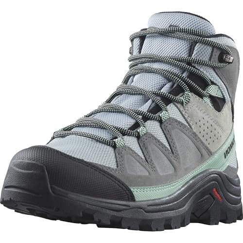 Salomon Trekkingi Quest Rove Gore-Tex L47181600 Szary