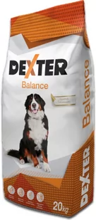 DEXTER Balance Large Breed z witaminami 20kg - Sucha karma dla psów - miniaturka - grafika 1