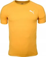 Koszulki męskie - Puma Koszulka męska Puma Evostripe Lite Tee żółta 581534 25 S - miniaturka - grafika 1