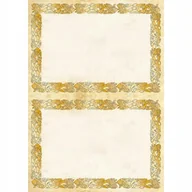 Dyplomy i okładki - Galeria Papieru Dyplom A4 170g Celtic - 25szt. - miniaturka - grafika 1