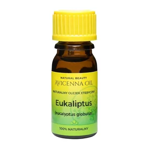 Avicenna Olejek eteryczny eukaliptusowy 7ml - Aromaterapia - miniaturka - grafika 1