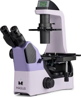Mikroskop Magus Odwrócony mikroskop biologiczny MAGUS Bio V360 - Mikroskopy i lupy - miniaturka - grafika 1