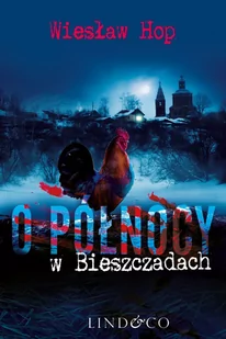 O północy w Bieszczadach - E-booki - kryminał i sensacja - miniaturka - grafika 1