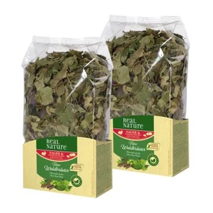 REAL NATURE Pokarm ziołowy 2 x 100 g Wyśmienite leśne zioła - Karma dla gryzoni - miniaturka - grafika 1