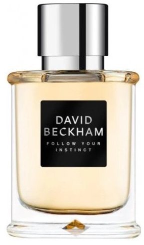 David Beckham Follow Your Instinct EDT spray 50ml