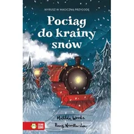 Powieści i opowiadania - Pociąg do krainy snów - miniaturka - grafika 1