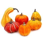 Dekoracje domu - Sztuczne dynie do kompozycji dekoracja jesienna ozdobne figurki zestaw 6 sztuk - miniaturka - grafika 1