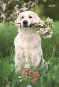 Pozostałe książki - Kalendarz 2024 Psy A3 14 ścienny - miniaturka - grafika 1