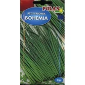 Nasiona i cebule - SZCZYPIOREK BOHEMIA 2G - miniaturka - grafika 1