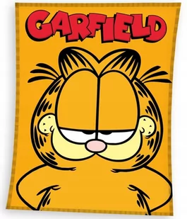 kocyk koc pled narzuta welurowy Garfield 130x170 cm - Koce i narzuty dla dzieci - miniaturka - grafika 1