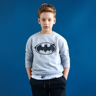 Swetry dla chłopców - Sinsay - Bluza Batman - Szary - miniaturka - grafika 1