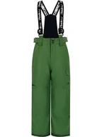 Spodnie narciarskie - Peek U Spodnie narciarskie "Tyson" w kolorze zielonym - miniaturka - grafika 1