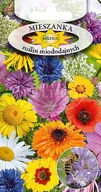 Nasiona i cebule - MIESZANKA ROŚLIN MIODODAJNYCH 2g - miniaturka - grafika 1