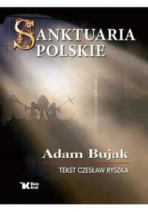 Biały Kruk Sanktuaria polskie LIT-41635 - Literatura popularno naukowa dla młodzieży - miniaturka - grafika 3